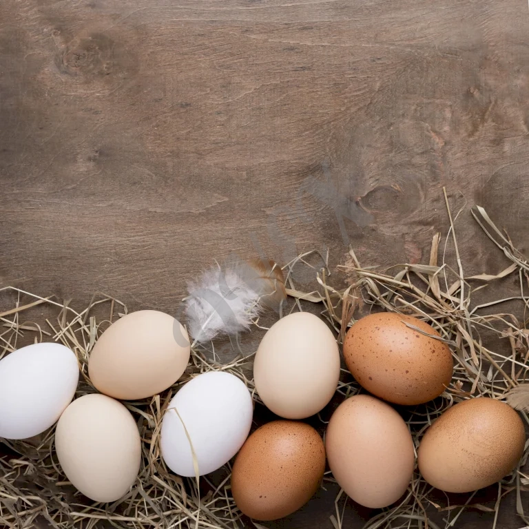 Домашние куриные яйца 🍳